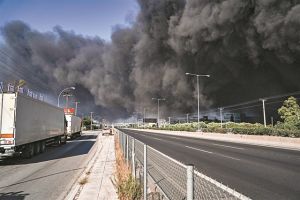 SOS για διοξίνες στα τρόφιμα