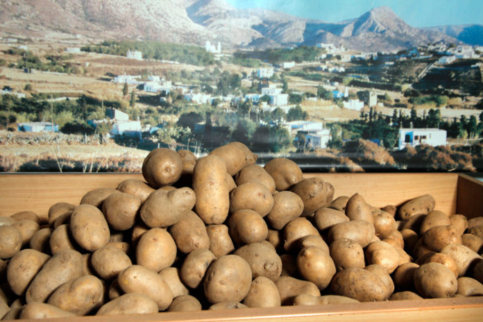 Νάξος: Αγρότες για μια μέρα έγιναν γνωστοί ηθοποιοί και σεφ