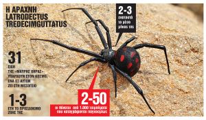 Συναγερμός για τη «μαύρη χήρα»