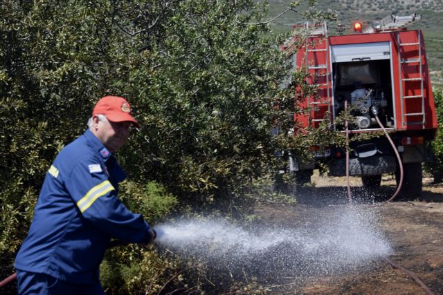 Φωτιά καίει δασική έκταση στη Νέα Μάκρη