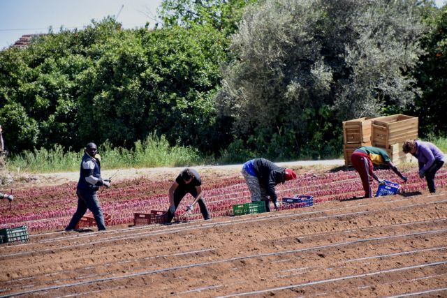 Λακωνία: Δεκάδες κρούσματα κοροναϊού σε εργάτες γης