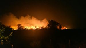 Ολονύχτιο θρίλερ: Μεγάλη φωτιά στην Αλεξανδρούπολη