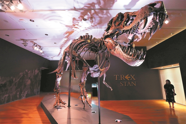 Ο τυραννόσαυρος Σταν βγαίνει στο σφυρί από τους Κρίστις