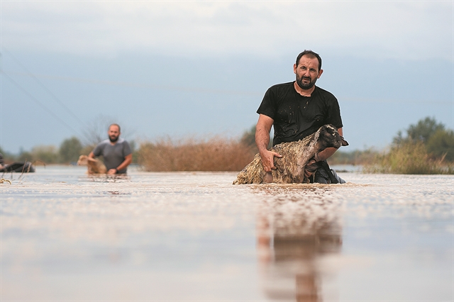 Υγειονομική βόμβα τα νεκρά ζώα στην Καρδίτσα