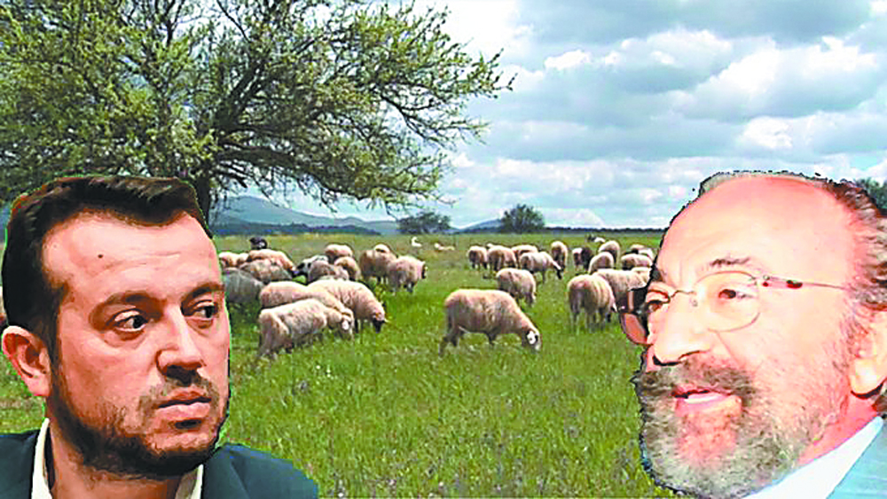 Οταν ανακάλυψε το… τρολάρισμα