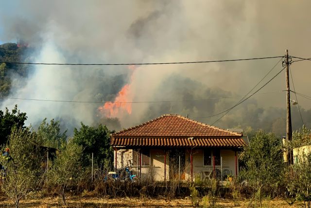 Μαίνεται η πυρκαγιά στην Ηλεία – Μεγάλη αναζωπύρωση κοντά στο χωριό Δάφνη