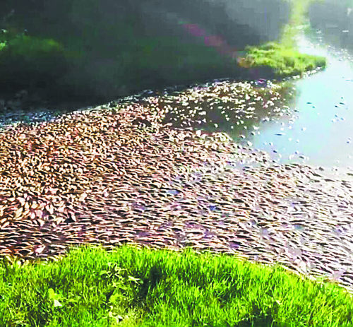 Αθανάσιος Ράντος, ο πρώτος έλληνας εισαγγελέας στο Δικαστήριο της ΕΕ