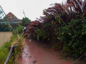 Ιανός: Εκτακτο δελτίο επικίνδυνων καιρικών φαινομένων