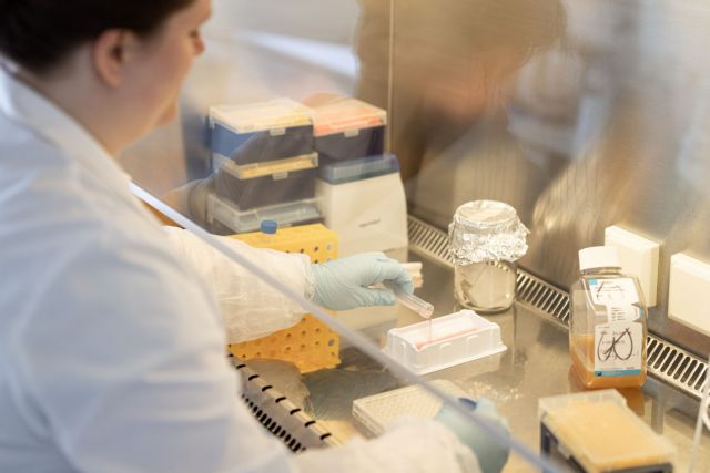 Κοροναϊός: Νέα μελέτη για αποτελεσματικά φάρμακα στη μάχη κατά του ιού