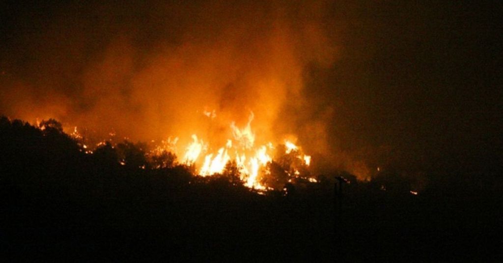 Μεγάλη φωτιά στα Φάρσαλα – Εκκενώνονται σπίτια