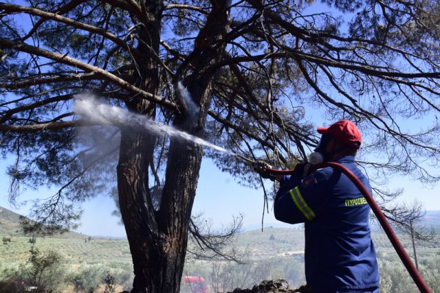 Φωτιά καίει δασική έκταση στο Δερμάτι Καρπενησίου