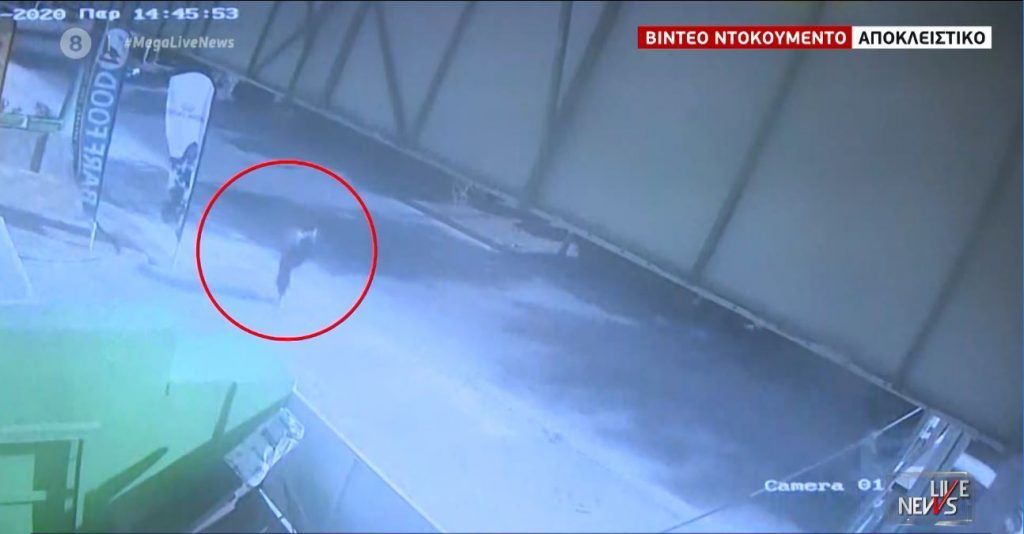 Κορωπί : Νέες σημαντικές μαρτυρίες για την 19χρονη που αγνοείται