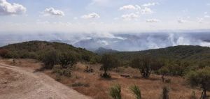 Φωτιά στον Έβρο: Συνεχίζεται η μάχη με τις φλόγες – Επιτόπου ο Αρχηγός της Πυροσβεστικής