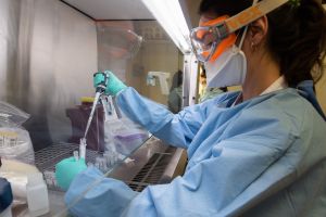 Κλειστό το πτηνοσφαγείο της «Πίνδου» λόγω κρουσμάτων