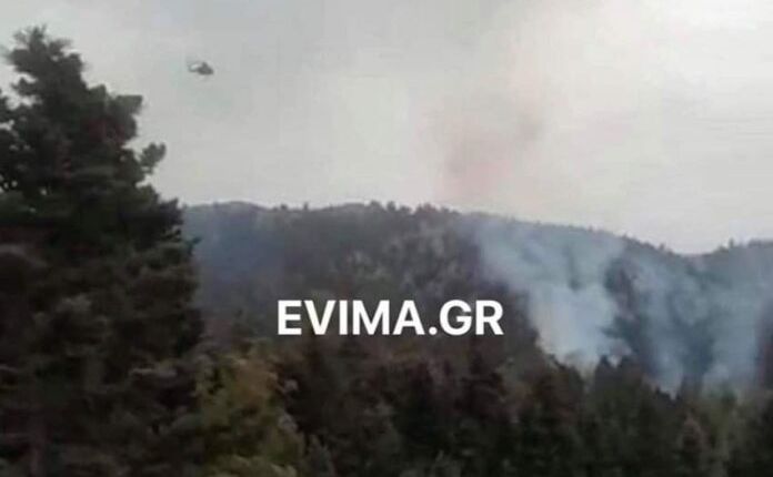 Φωτιά σε δασική περιοχή στην Εύβοια