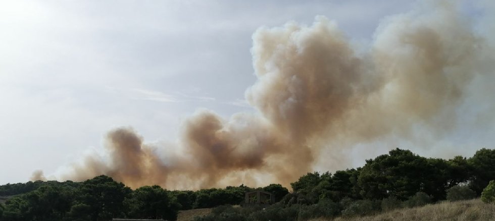 Πυρκαγιά στη Ζάκυνθο: Ενισχύονται οι πυροσβεστικές δυνάμεις – Ισχυροί άνεμοι στην περιοχή