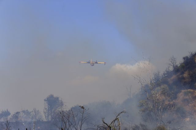 Συναγερμός στην Πυροσβεστική: Φωτιά στα Βαρδούσια