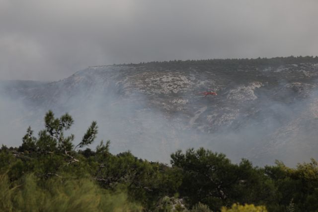 Πυρκαγιά στη Μανωλάδα – Επιχειρούν ισχυρές δυνάμεις της Πυροσβεστικής