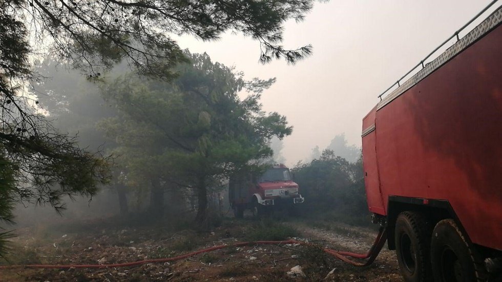 Πυρκαγιά στη Ζάκυνθο: Εσπευσμένα στην περιοχή ο αρχηγός της Πυροσβεστικής – Ισχυροί άνεμοι