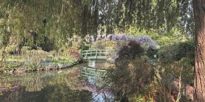 Ο Μονέ σε… διαδικτυακό περίπατο στον κήπο