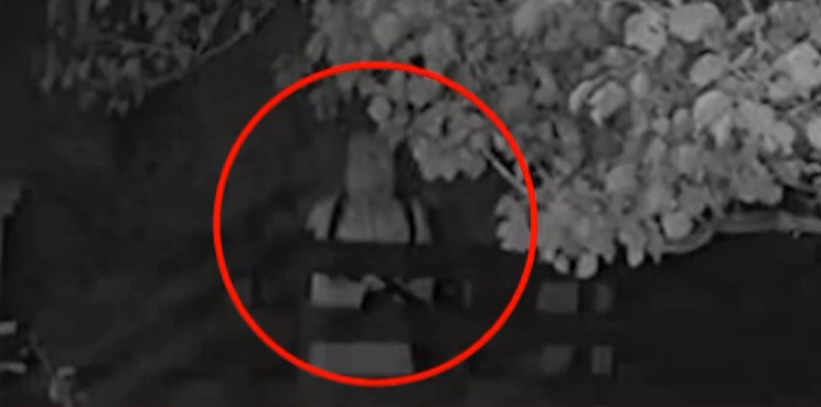 Οργή για τον «τοξοβόλο φοιτητή» που τραυμάτισε σκύλο επειδή τον ενοχλούσε το γάβγισμα