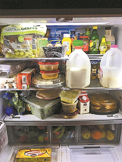 Αμερικανικές εκλογές : Δείξε μου το ψυγείο σου να σου πω τι ψηφίζεις