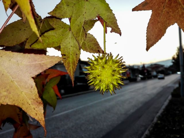 Αντικυκλώνας επηρεάζει τις θερμοκρασίες στην Ευρώπη – Πότε φθάνει και τι θα φέρει στην Ελλάδα