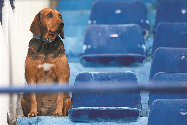 Τα κτήνη και ο ΣΥΡΙΖΑ