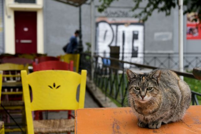 Κοροναϊός : Προβλέψεις για «μαύρο» Νοέμβρη – Πότε θα φανούν τα αποτελέσματα του lockdown