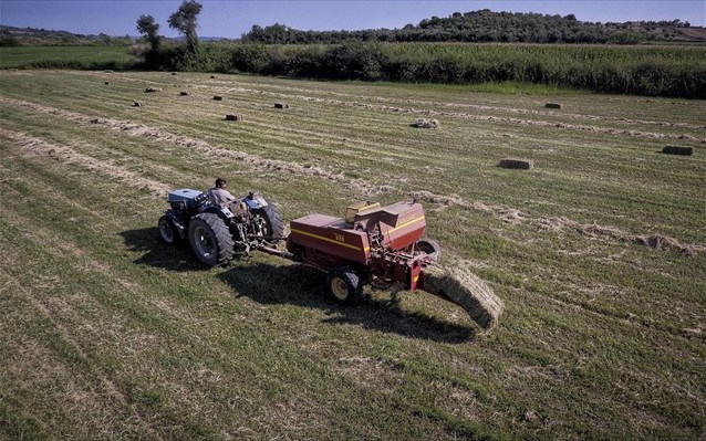 Σε 5 μηνιαίες δόσεις οι εισφορές του 2019