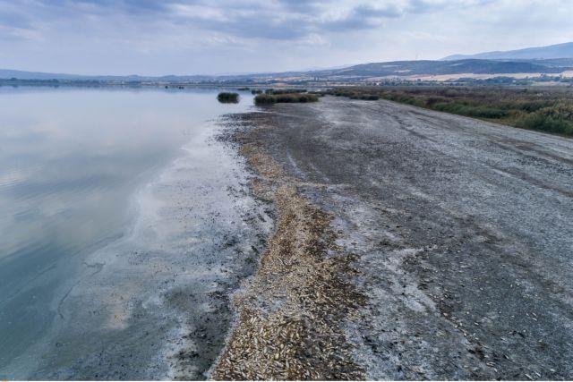 Σε κίνδυνο η πολύπαθη λίμνη Κορώνεια