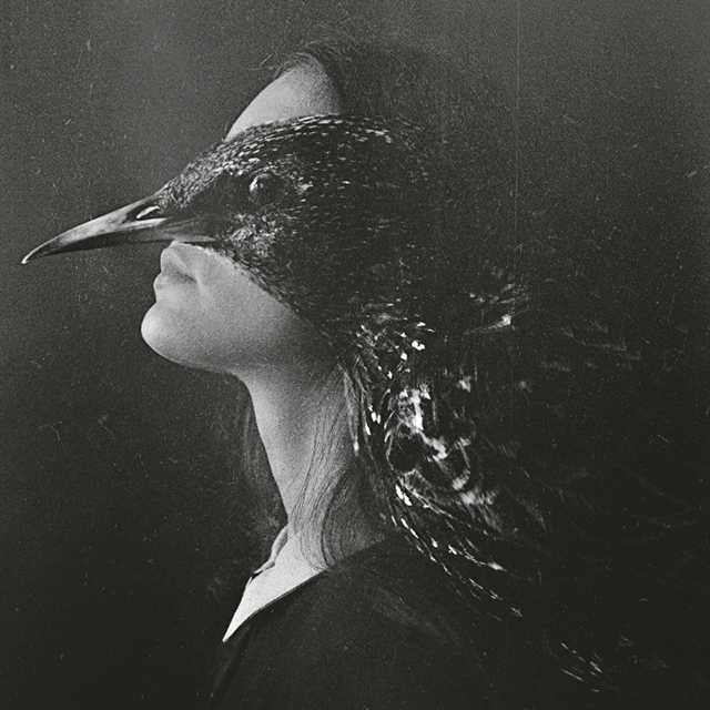 Ανθρωπος, θηρευτής και θήραμα