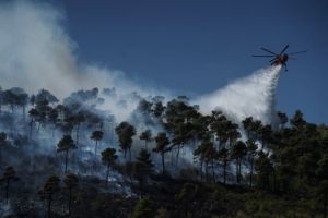 Φωτιά καίει δασική έκταση στην Κάρυστο
