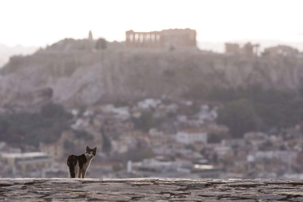Αυτοί είναι οι παράγοντες που καθιστούν πιο επιθετικό το δεύτερο κύμα στην Ελλάδα