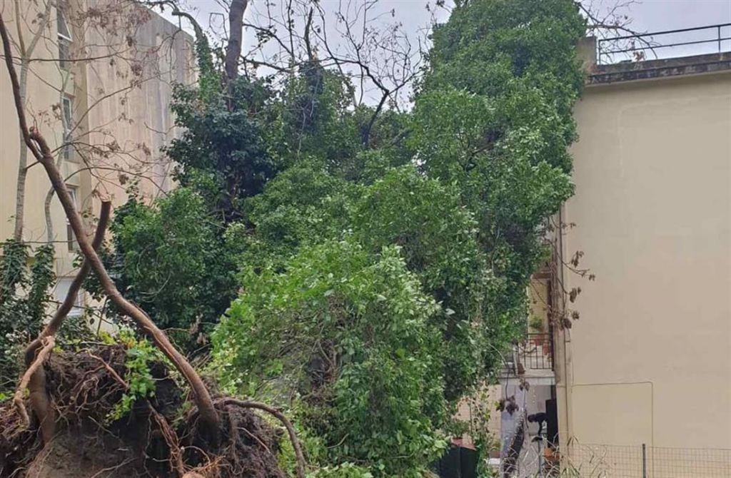 Κέρκυρα : Προβλήματα στο οδικό δίκτυο και πτώση δέντρων από την κακοκαιρία