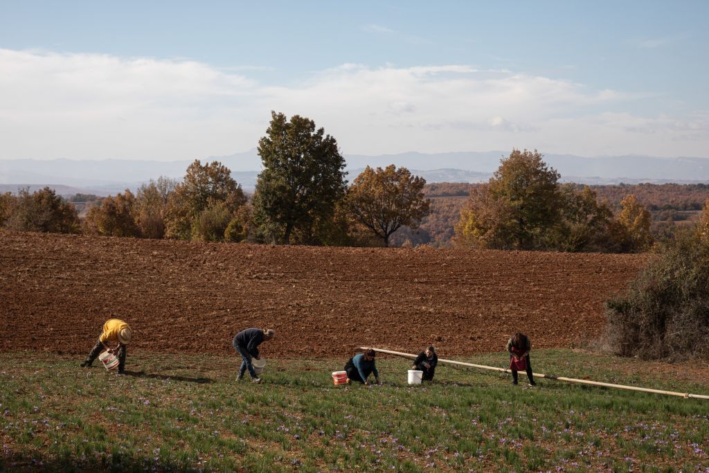 Πληρωμές Αγροτών 2020 : Η ανακοίνωση του ΟΠΕΚΕΠΕ για βασική ενίσχυση, «πρασίνισμα» και νέους γεωργούς