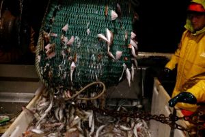 Bloomberg : Η Ε.Ε. απέρριψε τη νέα προσφορά του Λονδίνου για την αλιεία