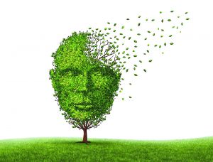 Απλή εξέταση αίματος «δείχνει» το Αλτσχάιμερ