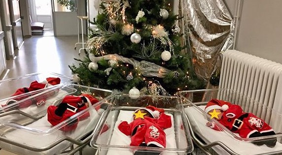 Μήνυμα αισιοδοξίας στέλνουν τα νεογέννητα αγιοβασιλάκια