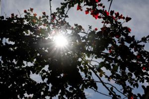 Καιρός : Βροχές και καταιγίδες – Σε ποιες περιοχές θα βρέξει