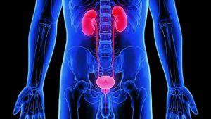 Τα ύποπτα σημάδια, οι κίνδυνοι και η αντιμετώπιση