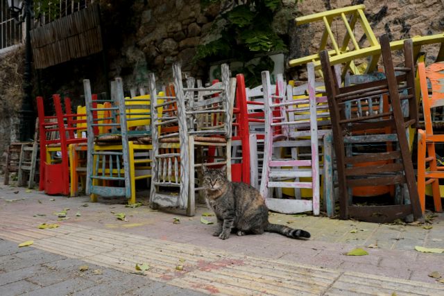 Λινού στο MEGA: Η εστίαση στους εξωτερικούς χώρους θα μπορούσε να ανοίξει