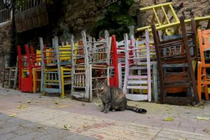 Ποιες επιχειρήσεις δεν θα καταβάλουν ενοίκιο και τον Φεβρουάριο