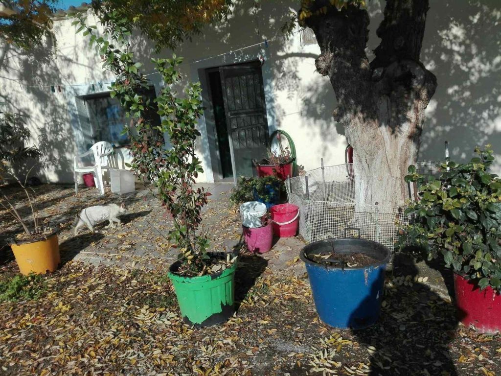 Κουφοντίνας : Αυτές είναι οι αγροτικές φυλακές όπου διέμενε