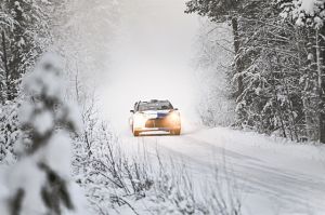 Απώλεια – σοκ