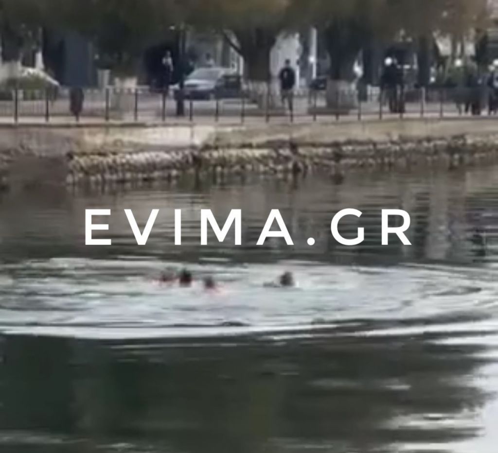 Εύβοια : Η στιγμή της πτώσης του 30χρονου στα νερά της Αμαρύνθου