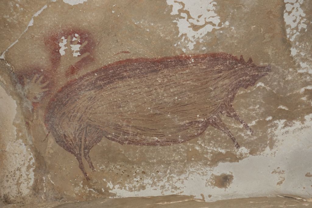 Στην Ινδονησία ανακαλύφθηκε η αρχαιότερη σπηλαιογραφία που εικονίζει ζώο