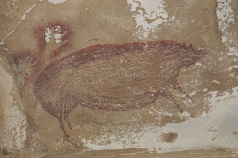 Στην Ινδονησία ανακαλύφθηκε η αρχαιότερη σπηλαιογραφία που εικονίζει ζώο | tanea.gr