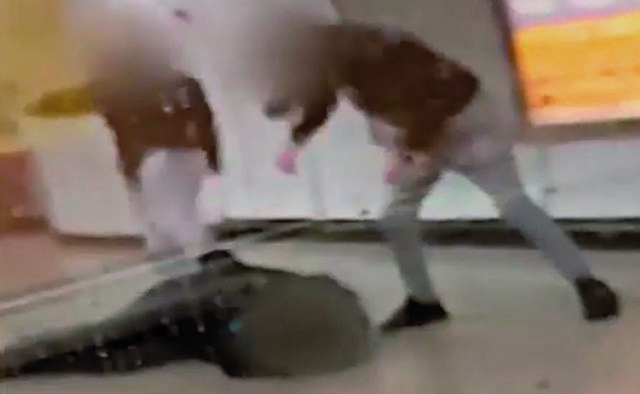 Εβλεπαν την επίθεση στο μόνιτορ