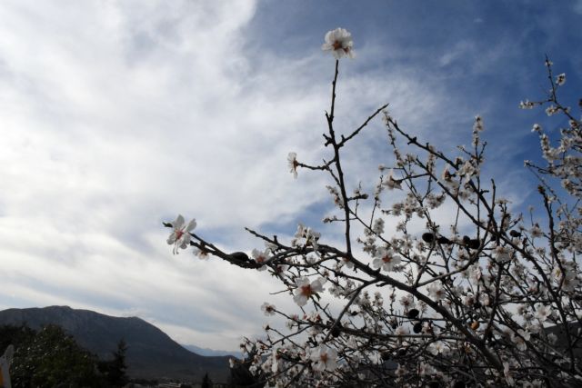 Αίθριος καιρός με μικρή άνοδο της θερμοκρασίας – Πού θα βρέξει